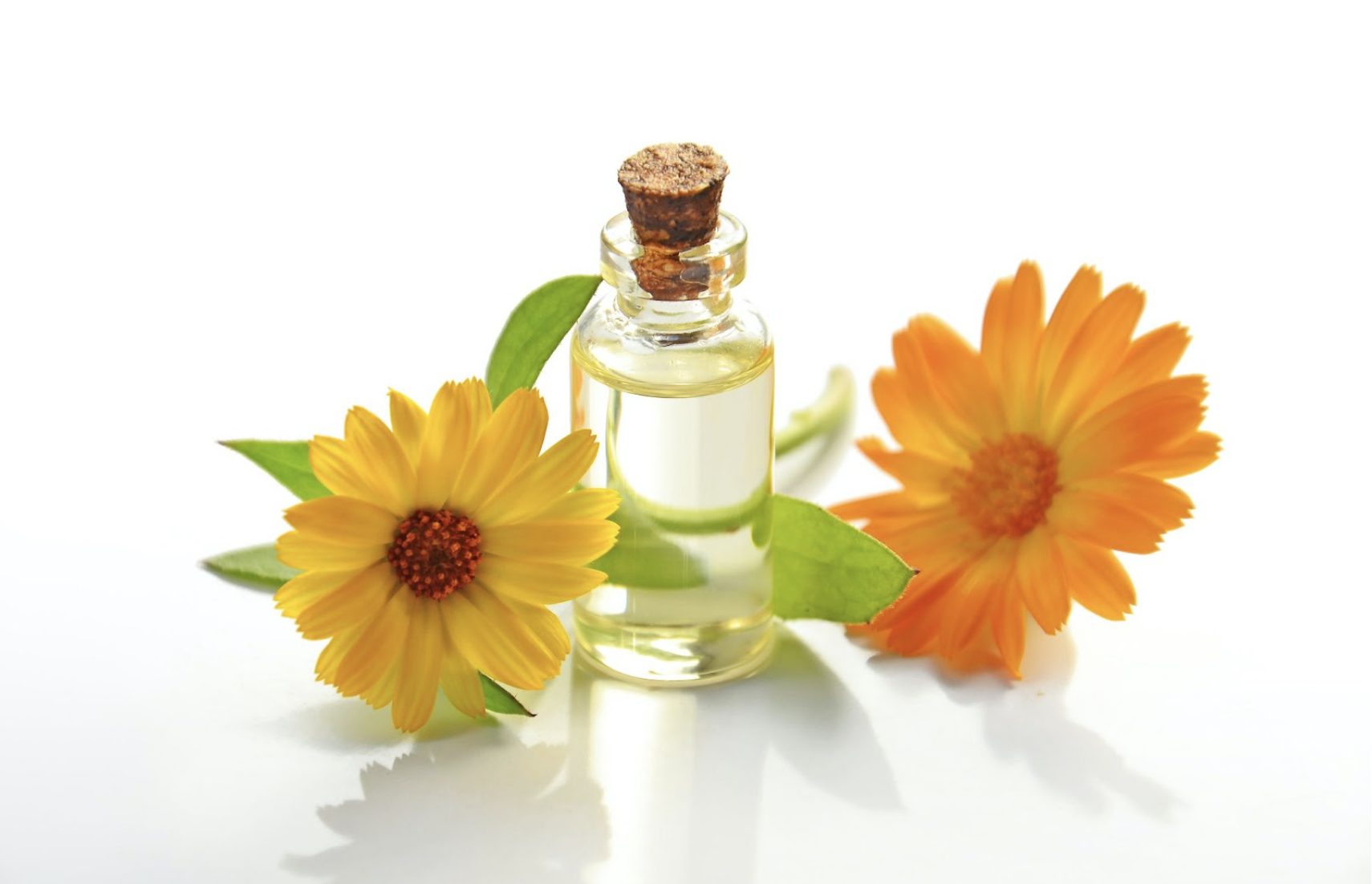 How to use vegan face oils? vegan face oils